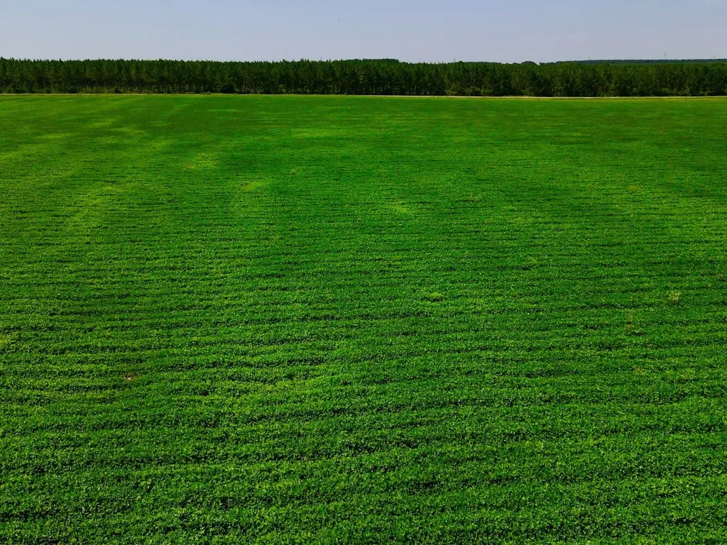 0 Wayside Road Atmore AL 36502