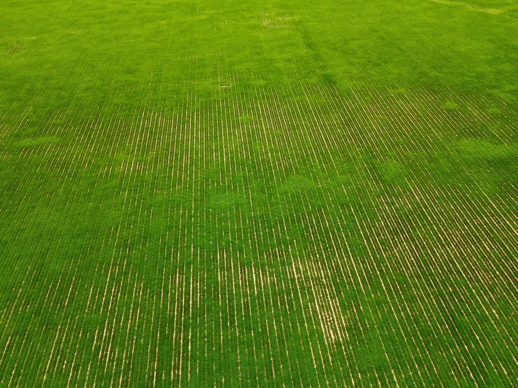 0 Wayside Road Atmore AL 36502