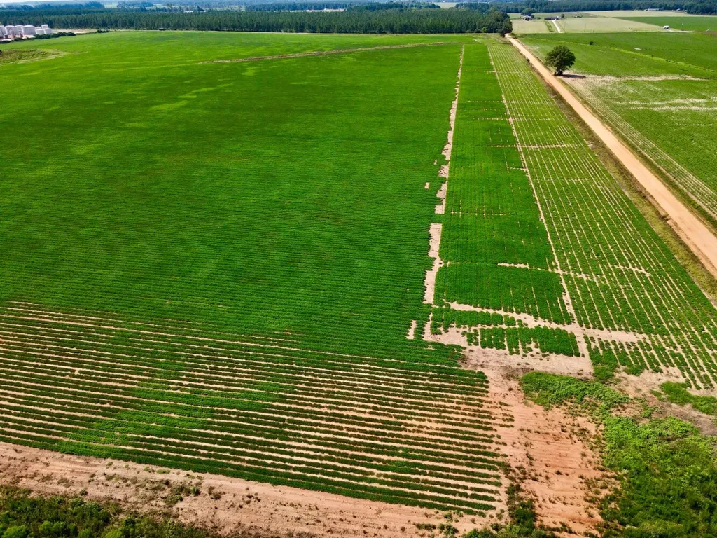 0 Wayside Road Atmore AL 36502