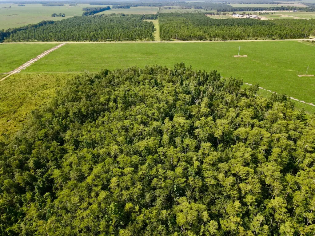 0 Wayside Road Atmore AL 36502