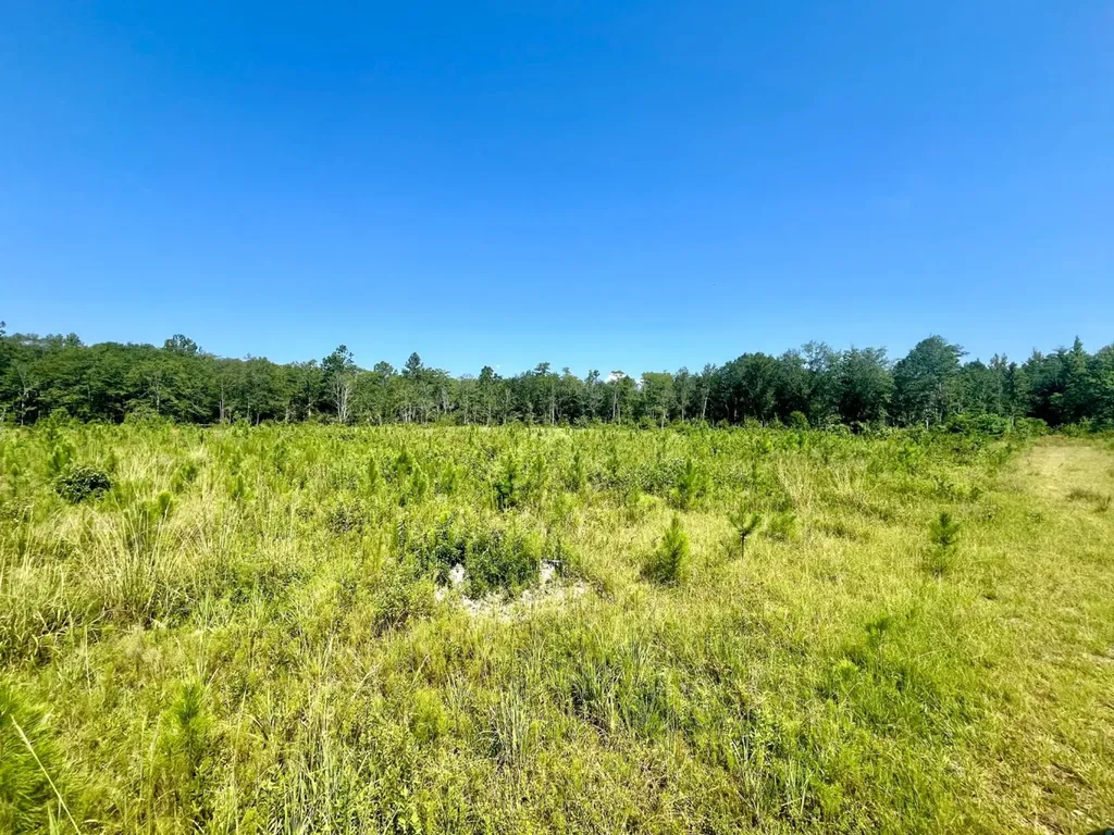 0 Wayside Road Atmore AL 36502