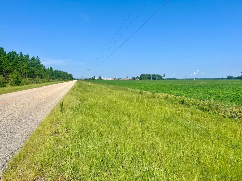 0 Wayside Road Atmore AL 36502
