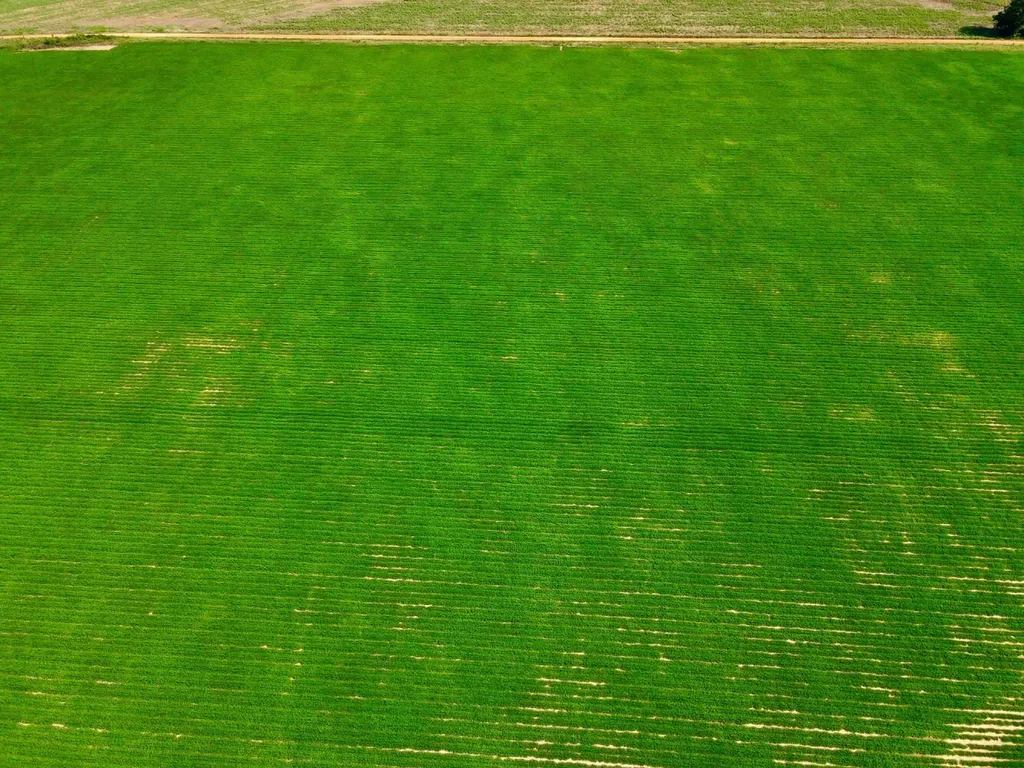 0 Wayside Road Atmore AL 36502