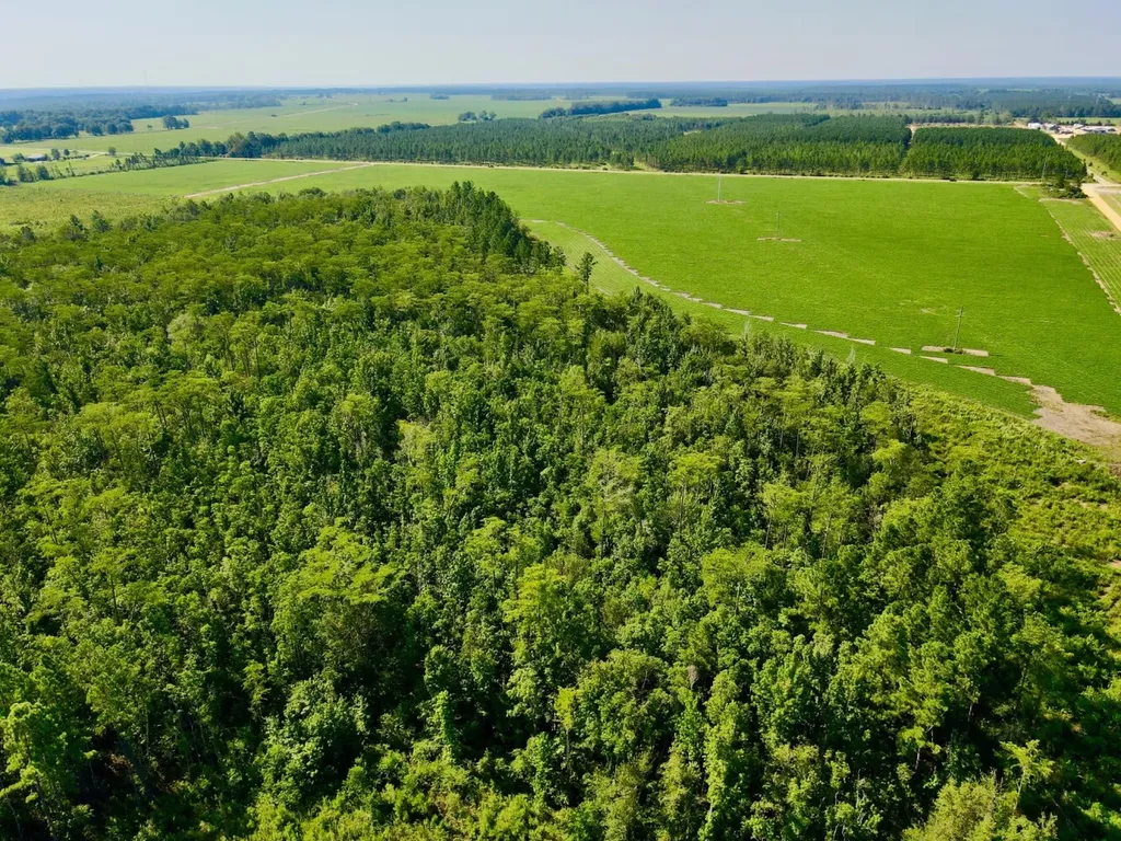 0 Wayside Road Atmore AL 36502