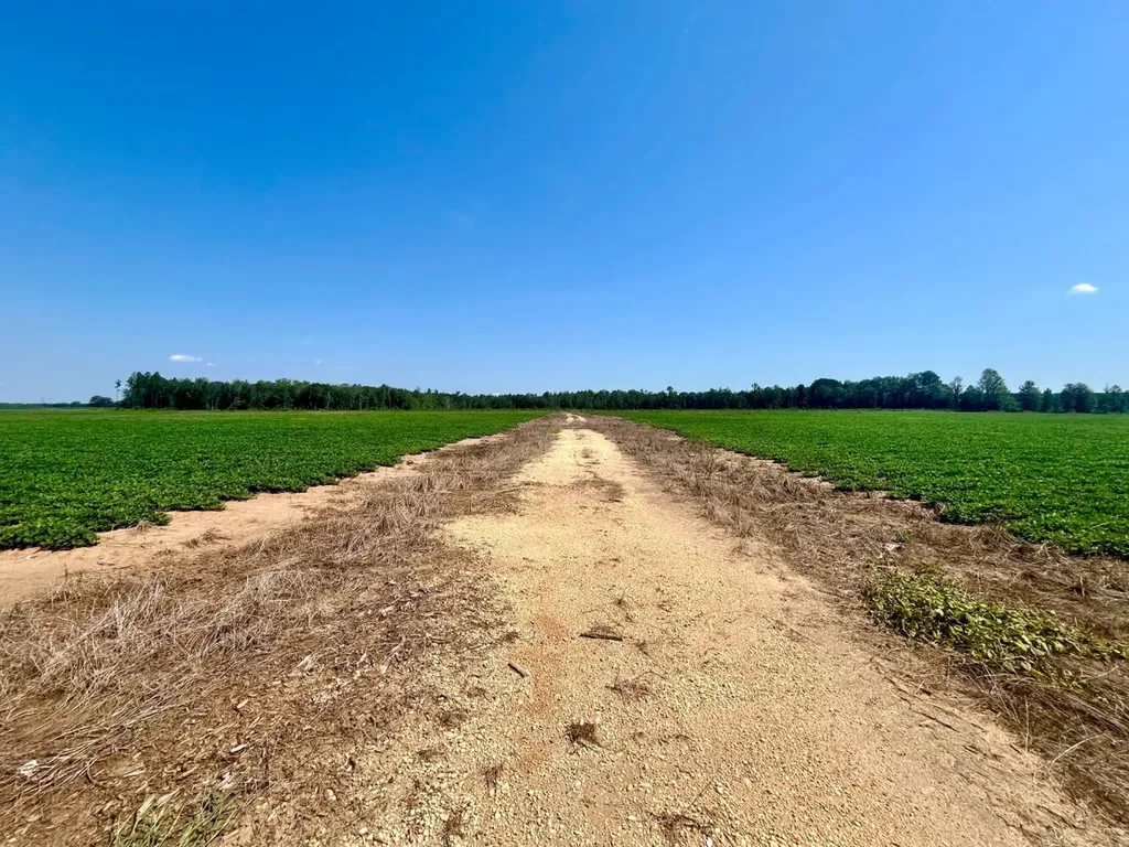 0 Wayside Road Atmore AL 36502