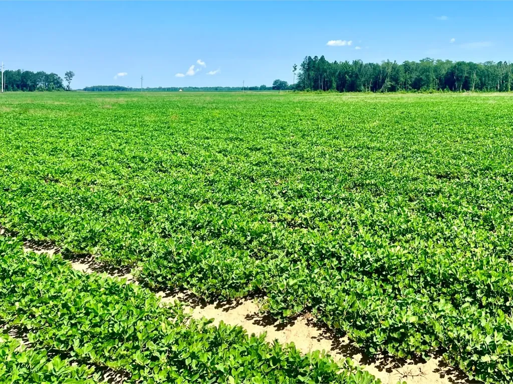 0 Wayside Road Atmore AL 36502