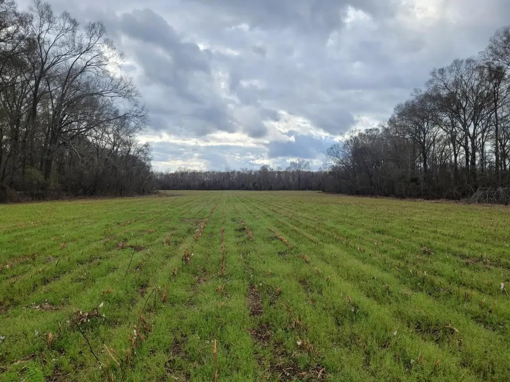 0 River Road Montgomery AL 36113