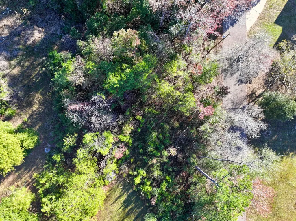 5TH Avenue Grove Hill AL 36451