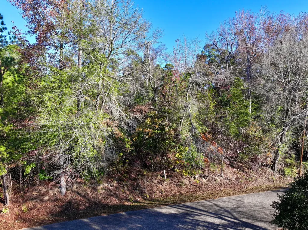 5TH Avenue Grove Hill AL 36451