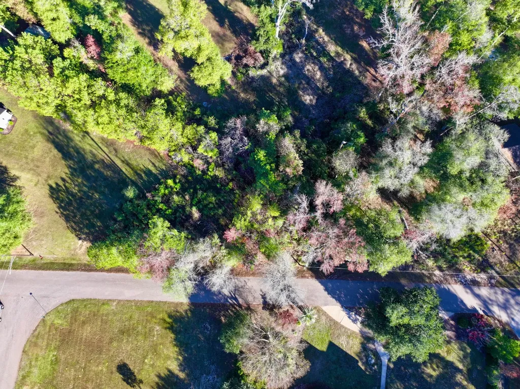 5TH Avenue Grove Hill AL 36451