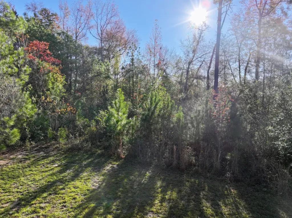 5TH Avenue Grove Hill AL 36451