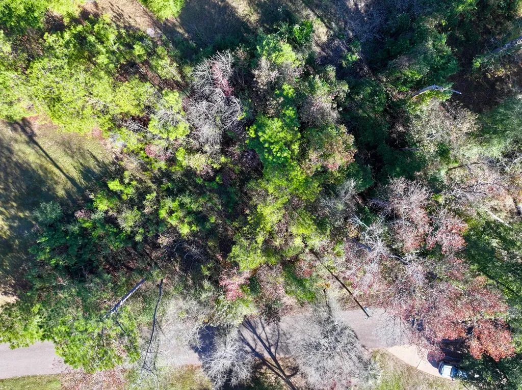 5TH Avenue Grove Hill AL 36451