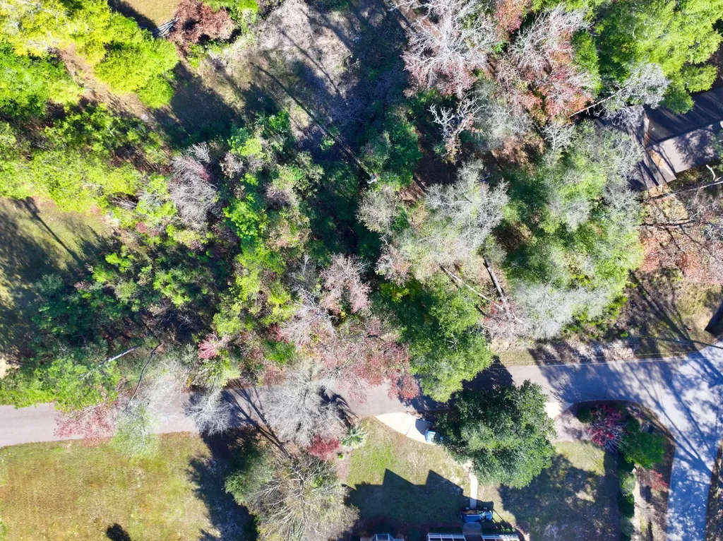 5TH Avenue Grove Hill AL 36451