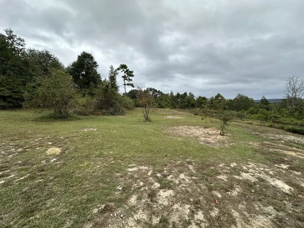 0 County Road 11, Tract A Ozark AL 36360