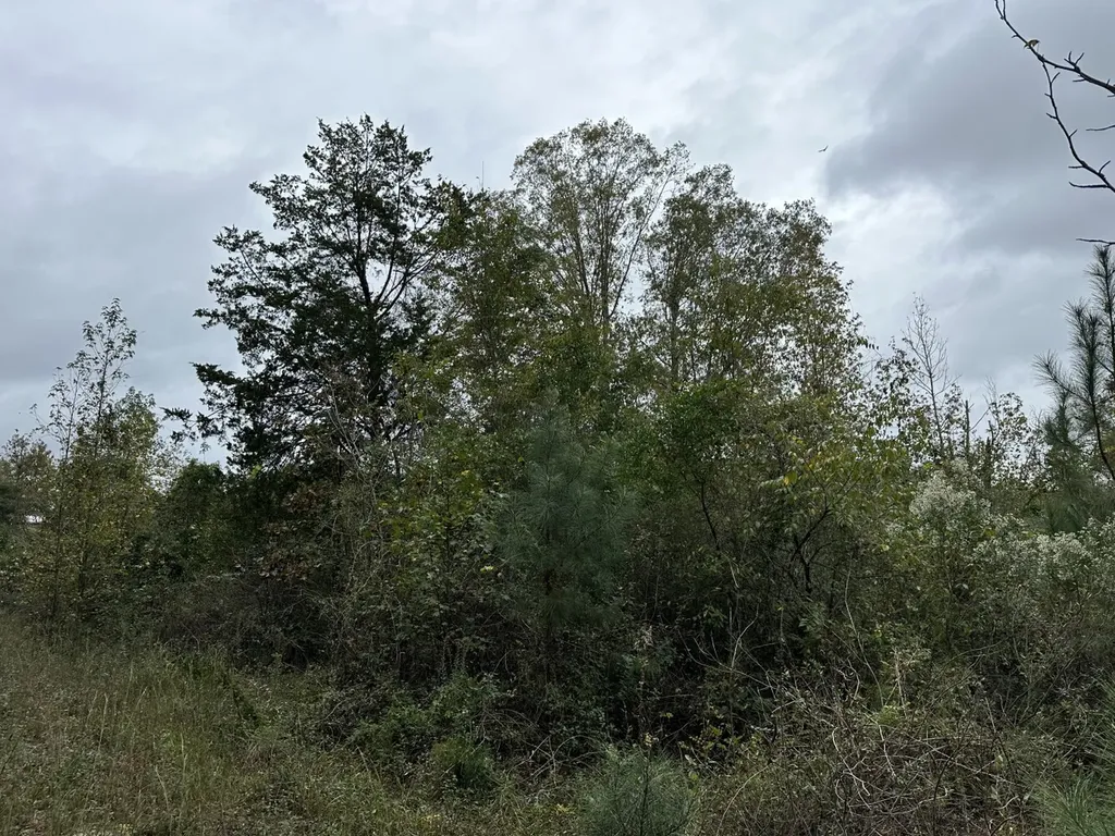 0 County Road 11, Tract A Ozark AL 36360