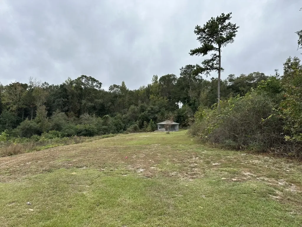 0 County Road 11, Tract A Ozark AL 36360