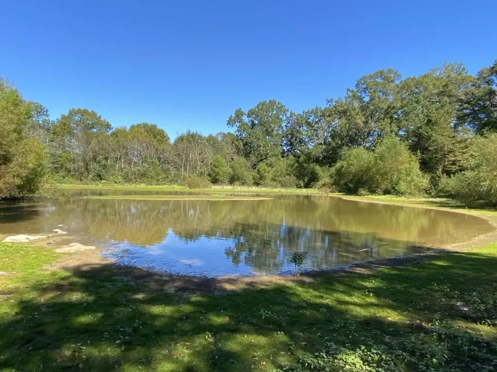 0 Blue Eye Springs Road Lincoln AL 35096