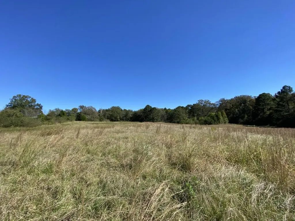 0 Blue Eye Springs Road Lincoln AL 35096