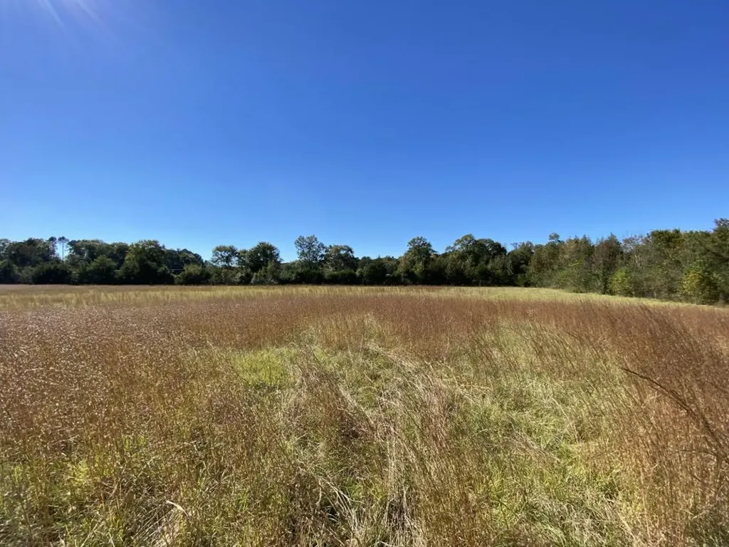 0 Blue Eye Springs Road Lincoln AL 35096