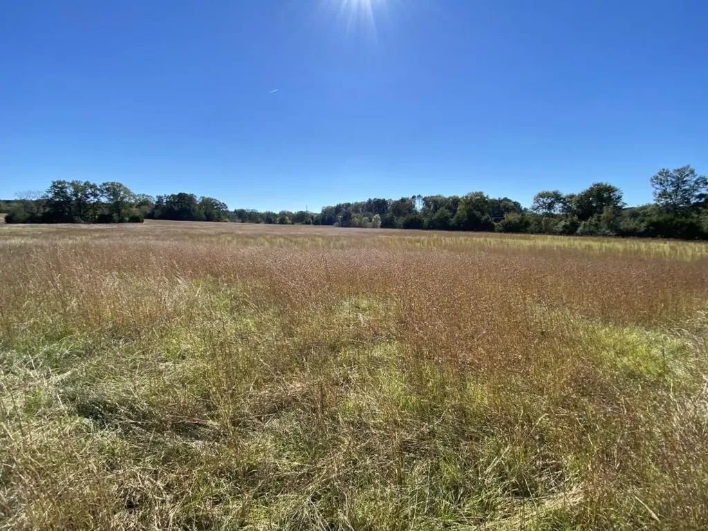 0 Blue Eye Springs Road Lincoln AL 35096