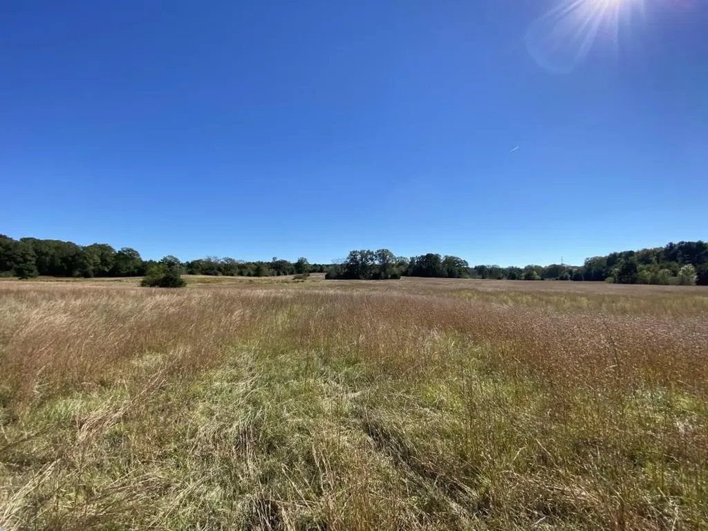 0 Blue Eye Springs Road Lincoln AL 35096