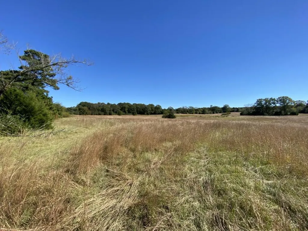 0 Blue Eye Springs Road Lincoln AL 35096