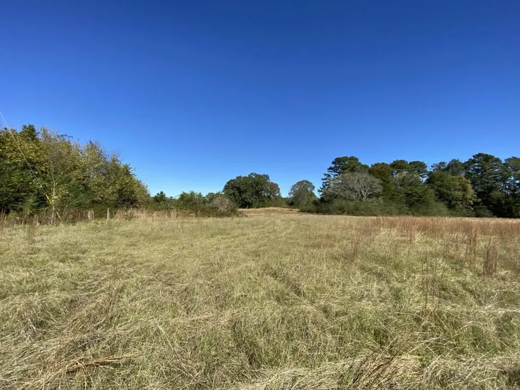 0 Blue Eye Springs Road Lincoln AL 35096