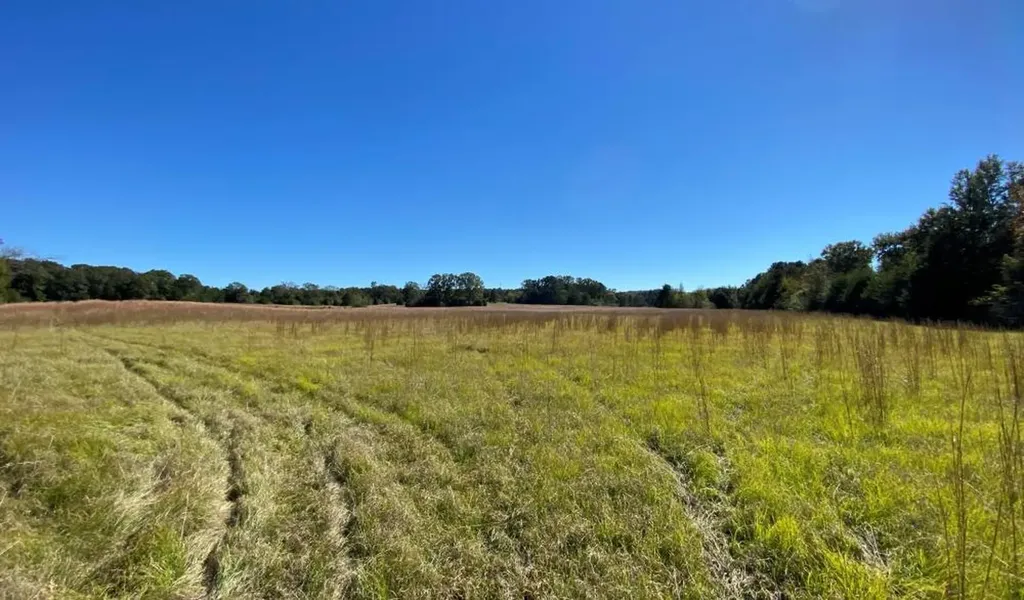 0 Blue Eye Springs Road Lincoln AL 35096