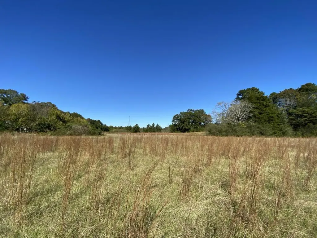 0 Blue Eye Springs Road Lincoln AL 35096