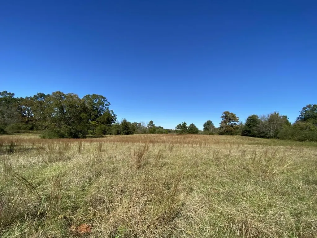 0 Blue Eye Springs Road Lincoln AL 35096