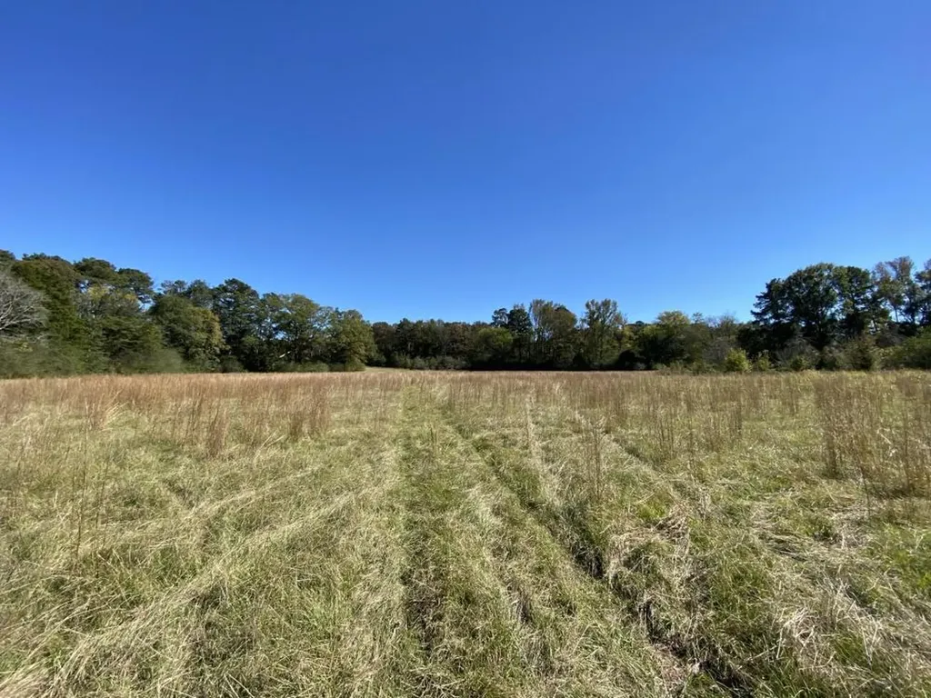 0 Blue Eye Springs Road Lincoln AL 35096