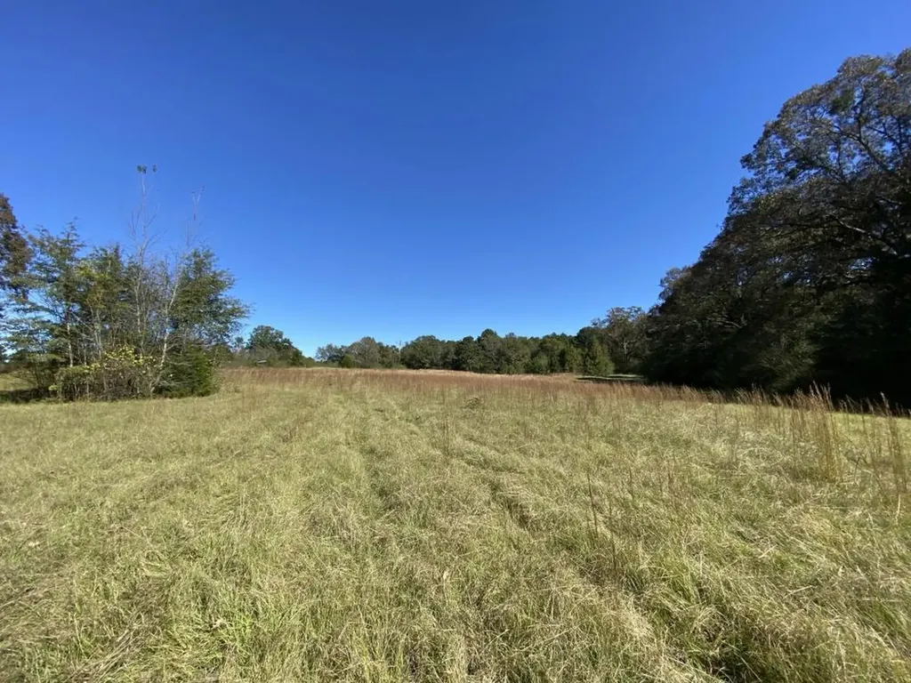 0 Blue Eye Springs Road Lincoln AL 35096