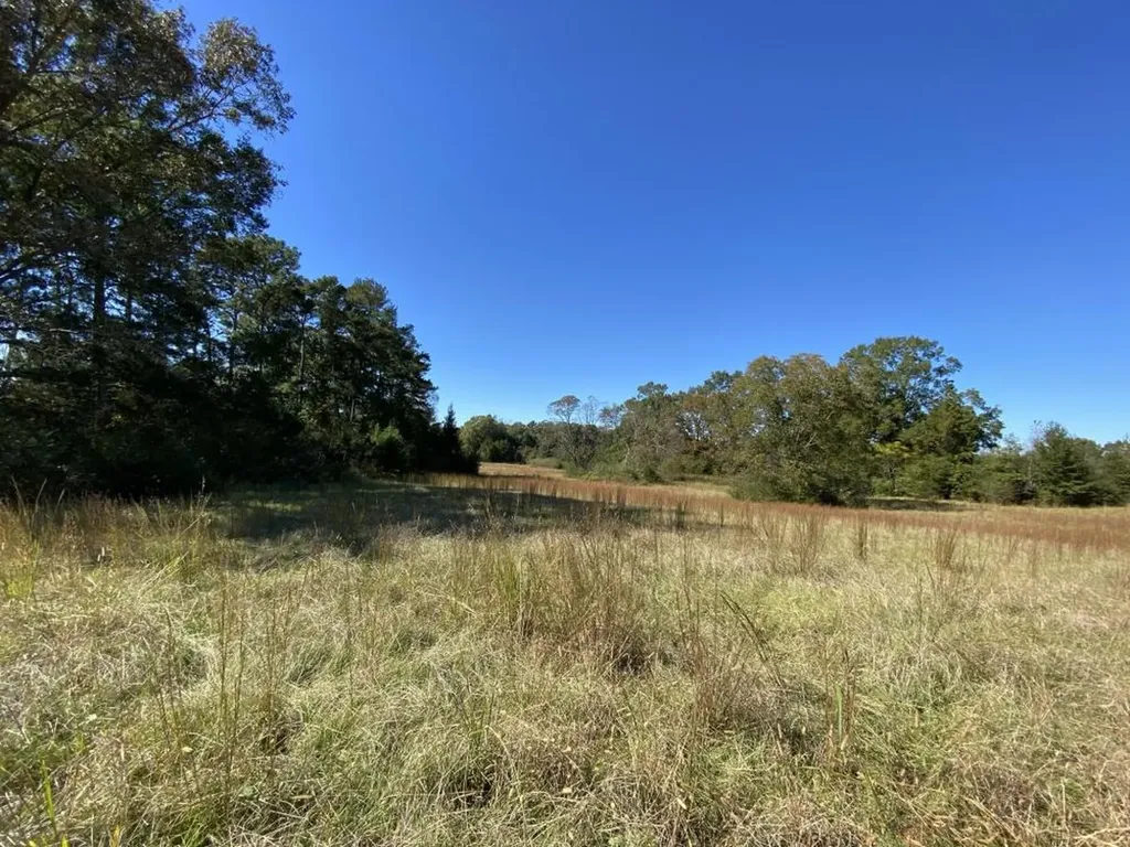 0 Blue Eye Springs Road Lincoln AL 35096