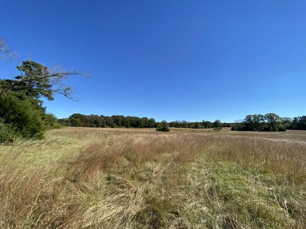 0 Blue Eye Springs Road Lincoln AL 35096