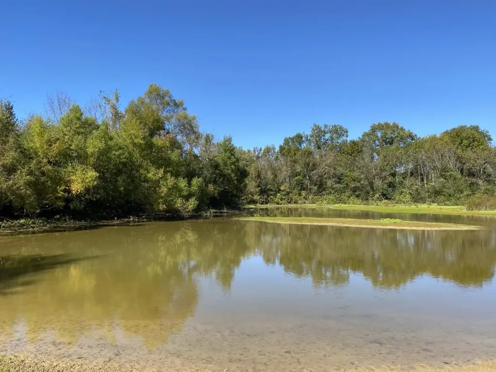 0 Blue Eye Springs Road Lincoln AL 35096
