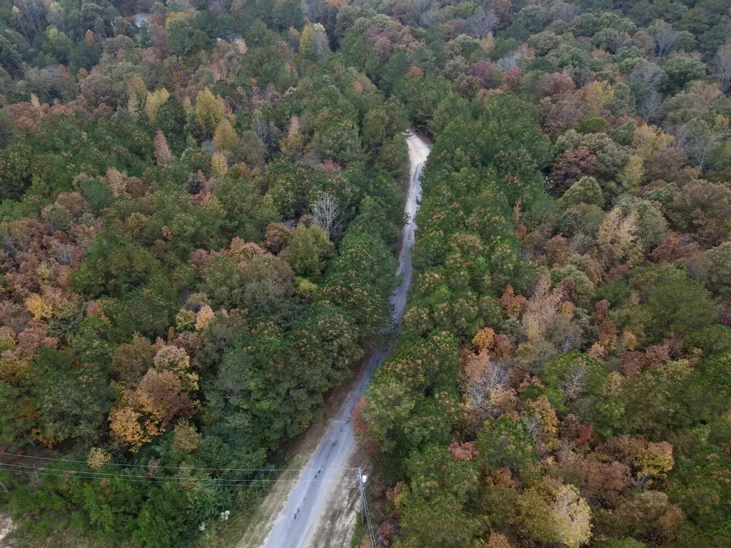 Eo Road Odenville AL 35120