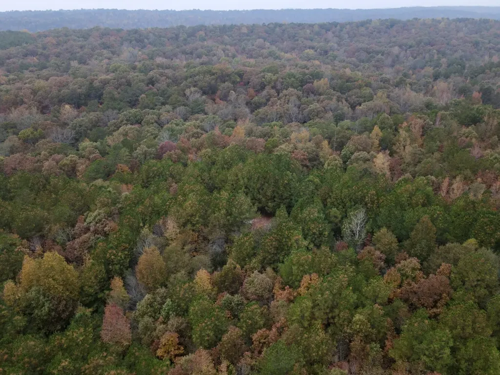 Eo Road Odenville AL 35120