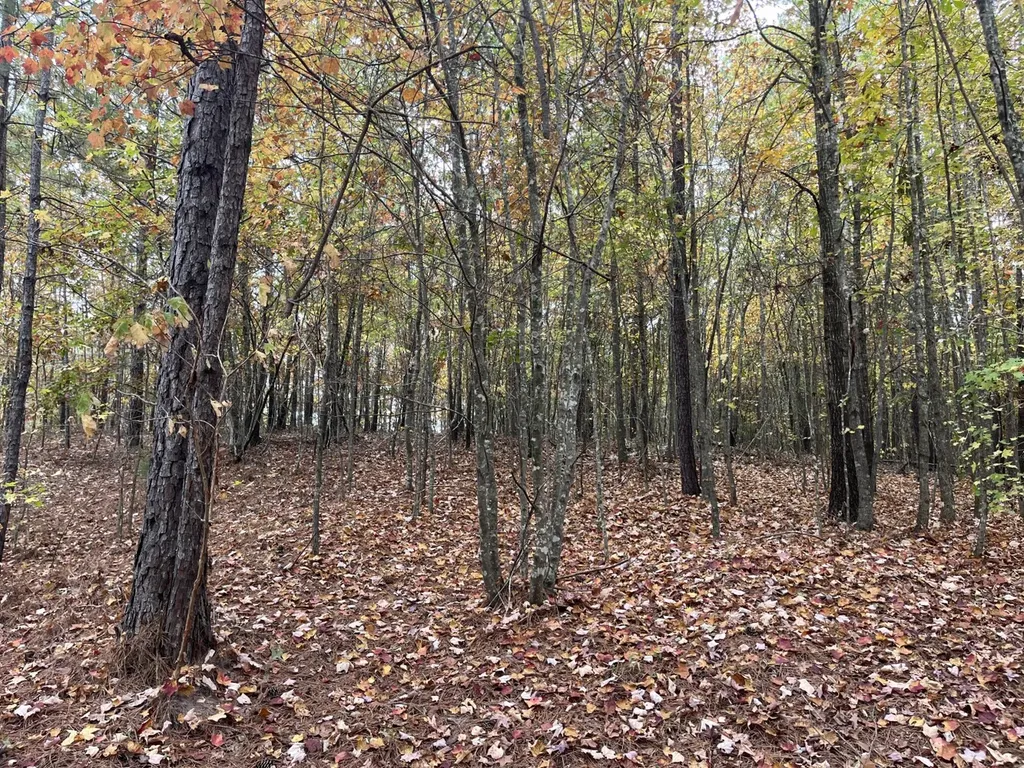 001 Old Acton Road Moody AL 35004