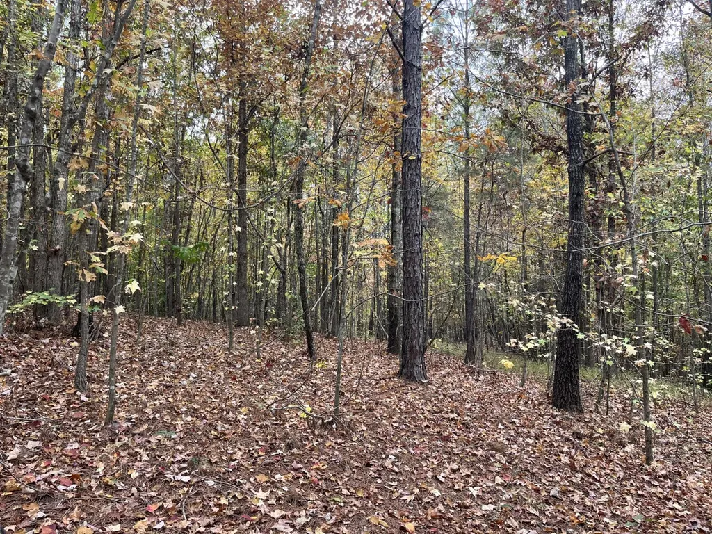 001 Old Acton Road Moody AL 35004