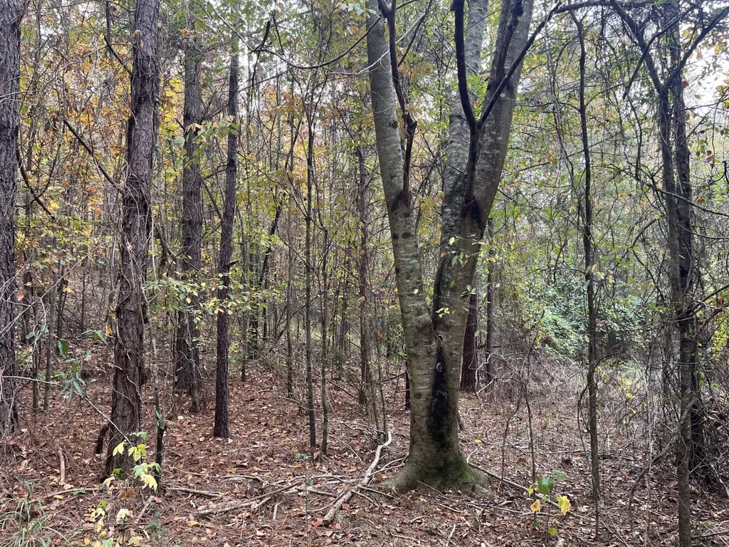 001 Old Acton Road Moody AL 35004