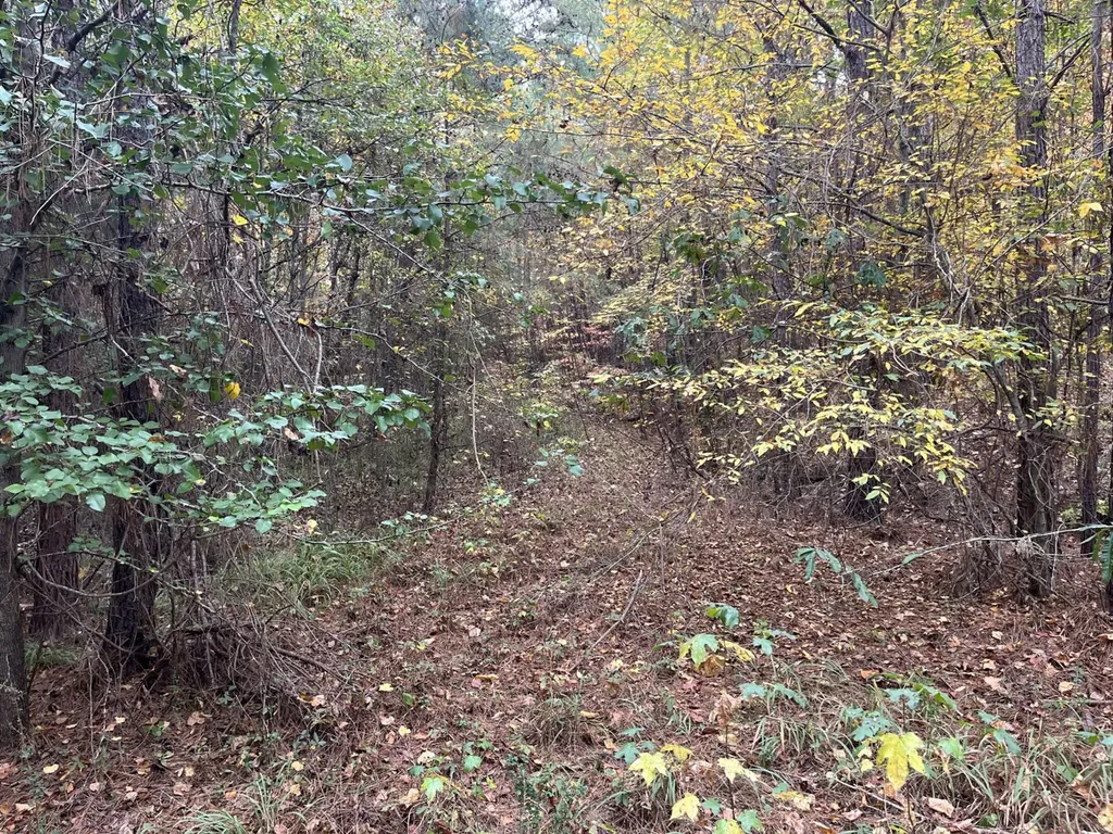 001 Old Acton Road Moody AL 35004