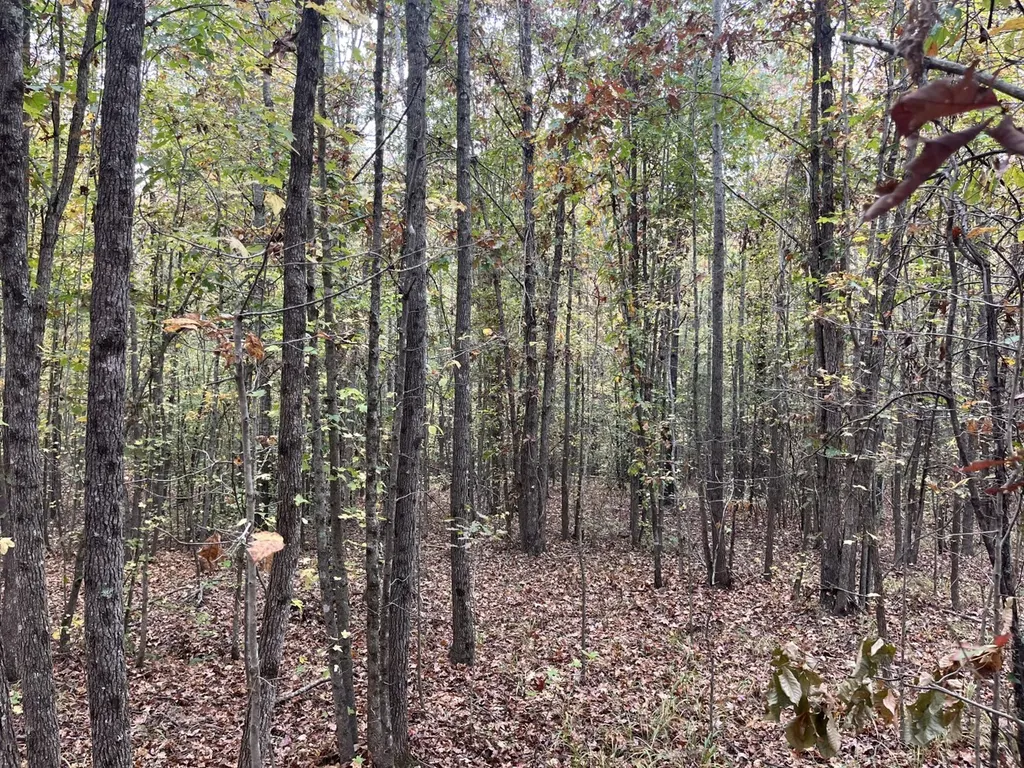 001 Old Acton Road Moody AL 35004