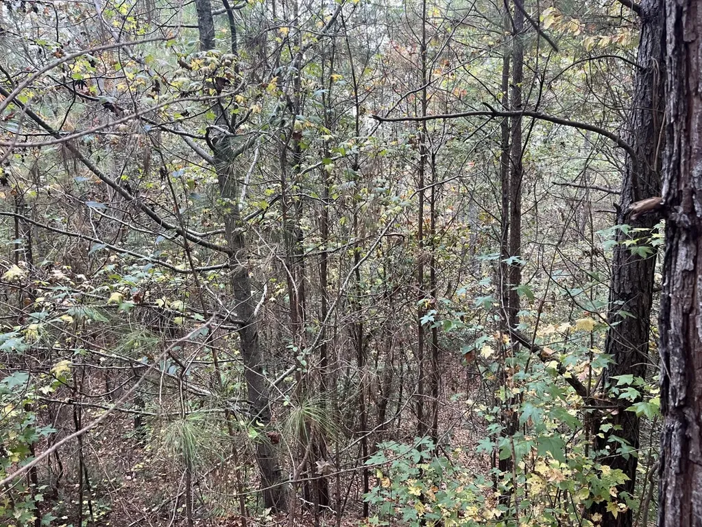 001 Dusty Ridge Road Moody AL 35004