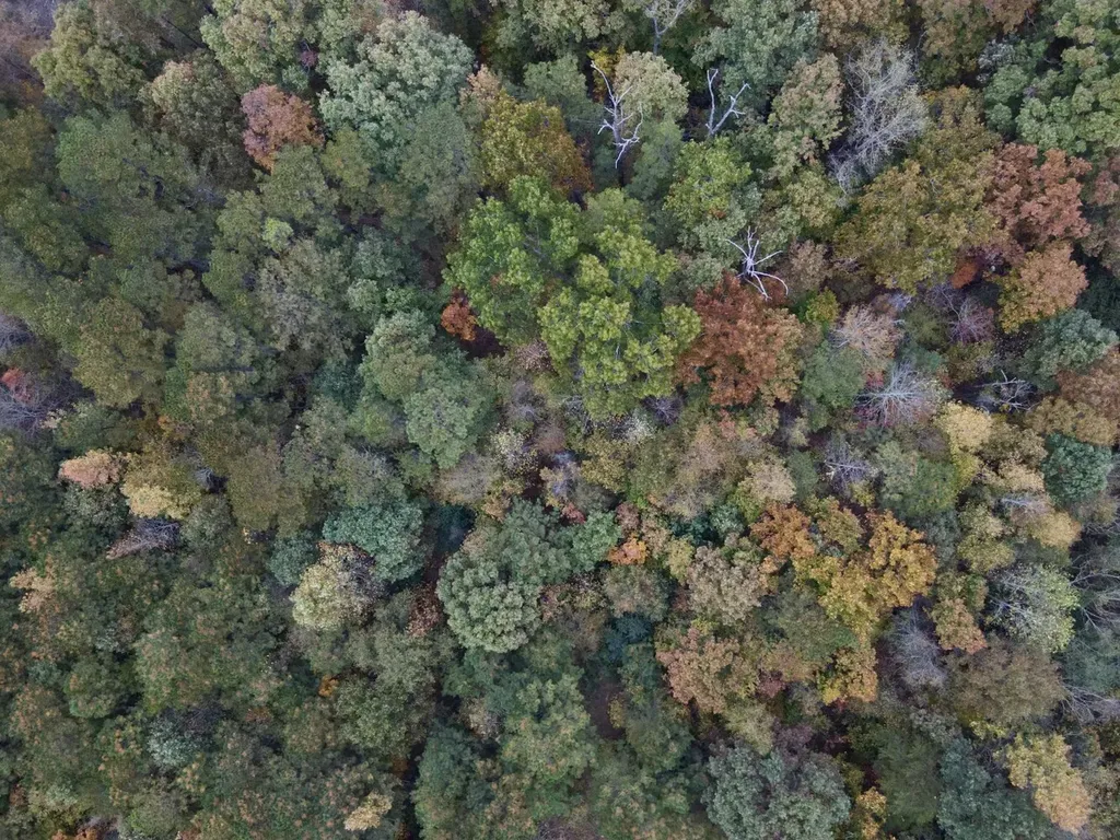 001 Dusty Ridge Road Moody AL 35004