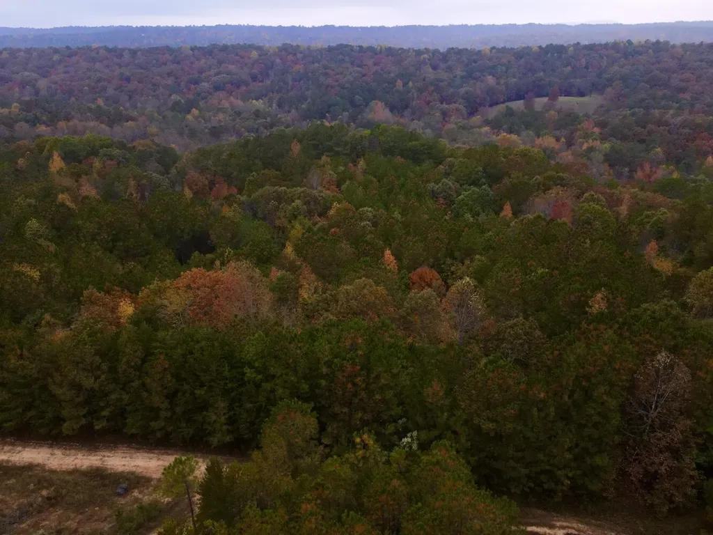 001 Dusty Ridge Road Moody AL 35004