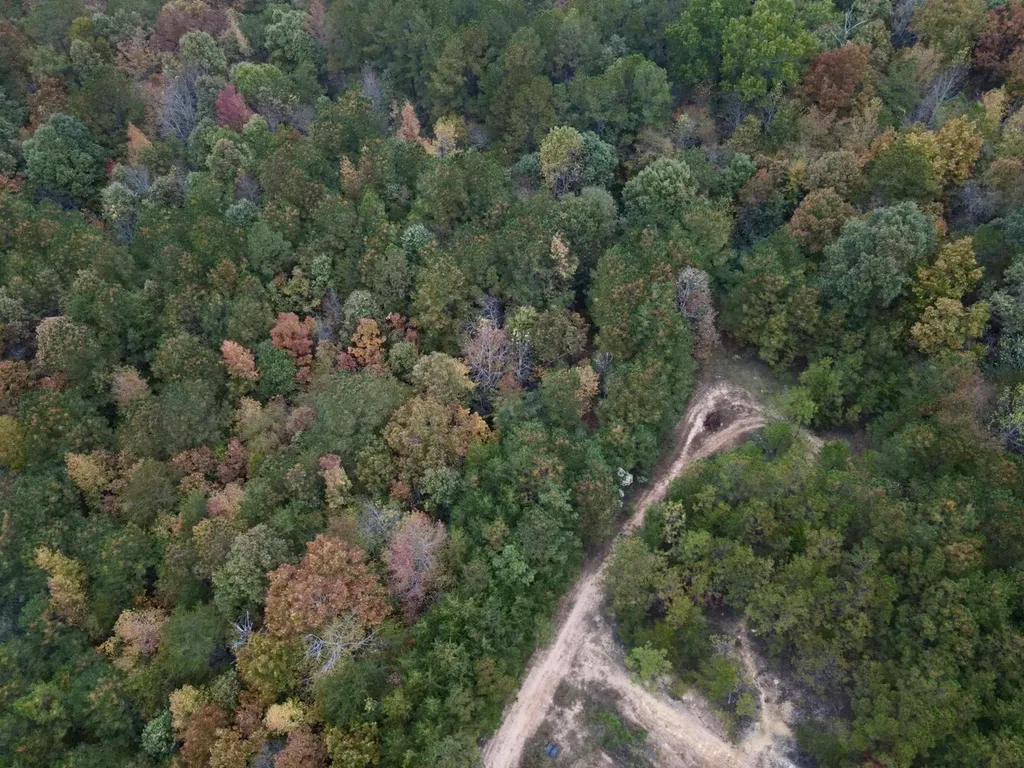 001 Dusty Ridge Road Moody AL 35004