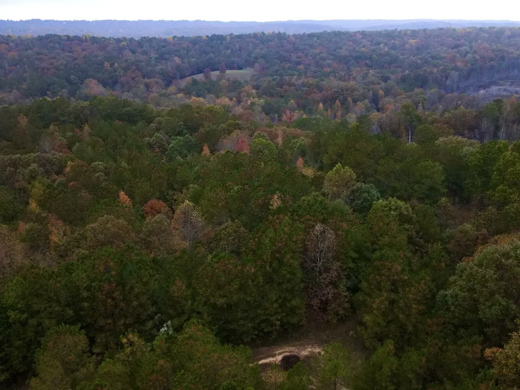 001 Dusty Ridge Road Moody AL 35004