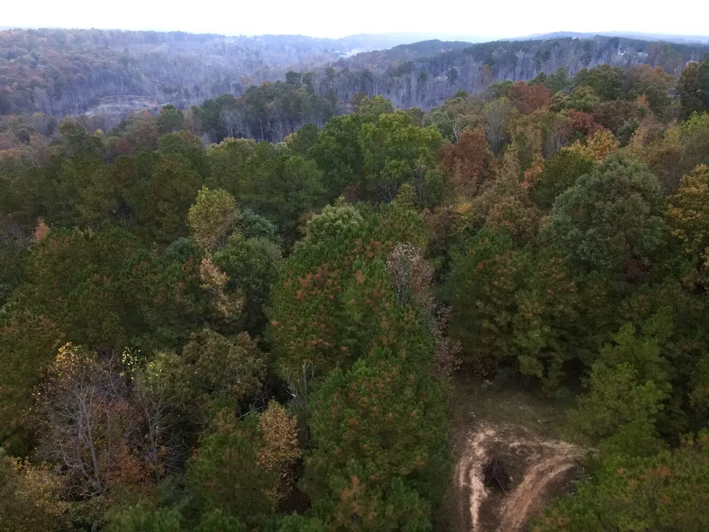 001 Dusty Ridge Road Moody AL 35004