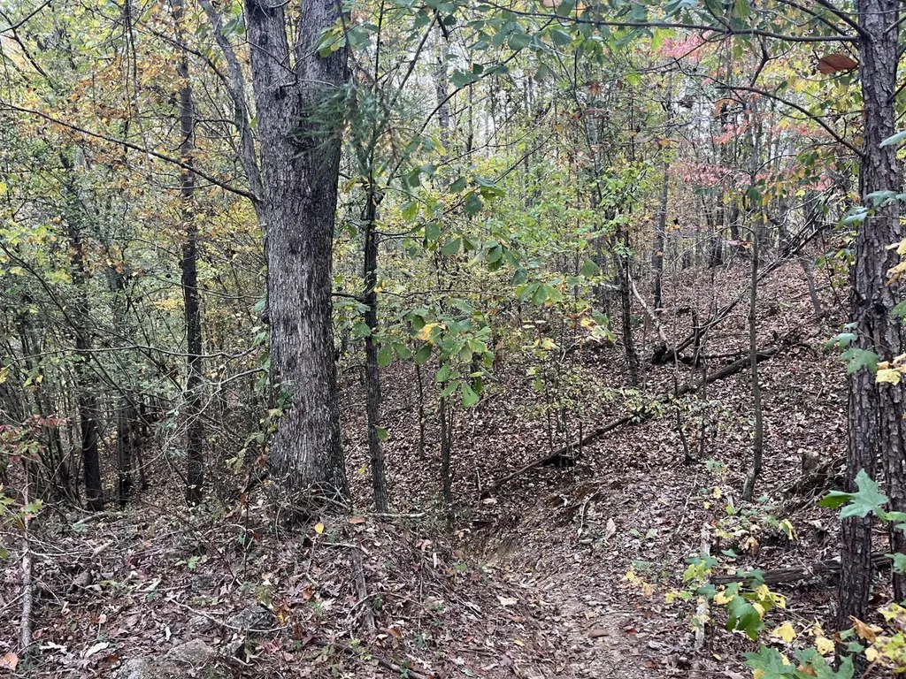 001 Dusty Ridge Road Moody AL 35004