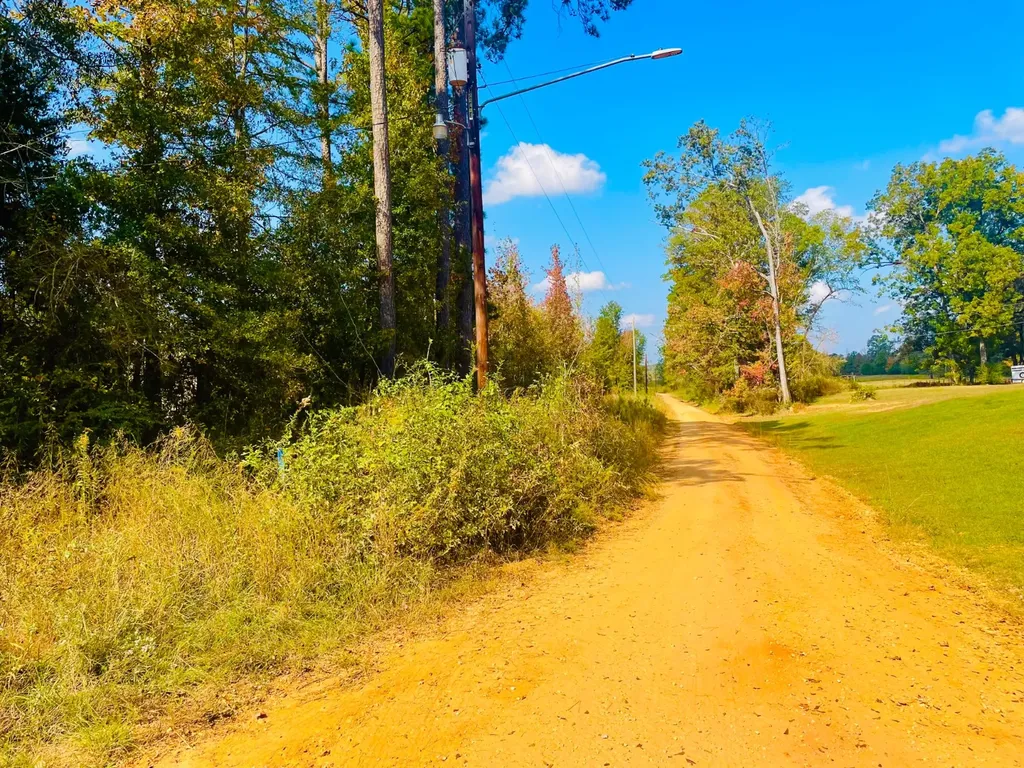 1 Mt Olive Road Butler AL 36904